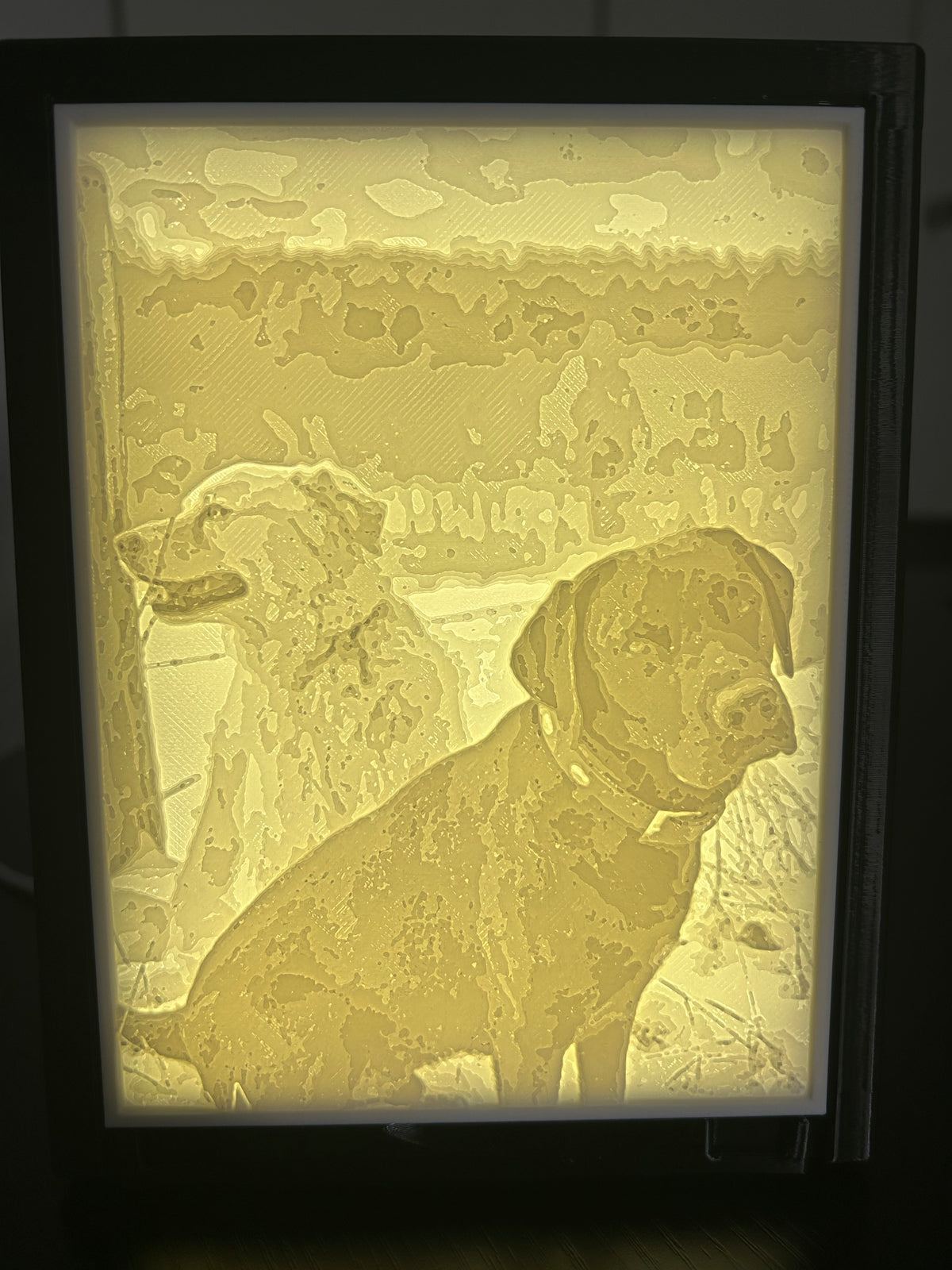 Personalisierte Lithophane mit LED-Beleuchtung – Foto als leuchtendes Relief
